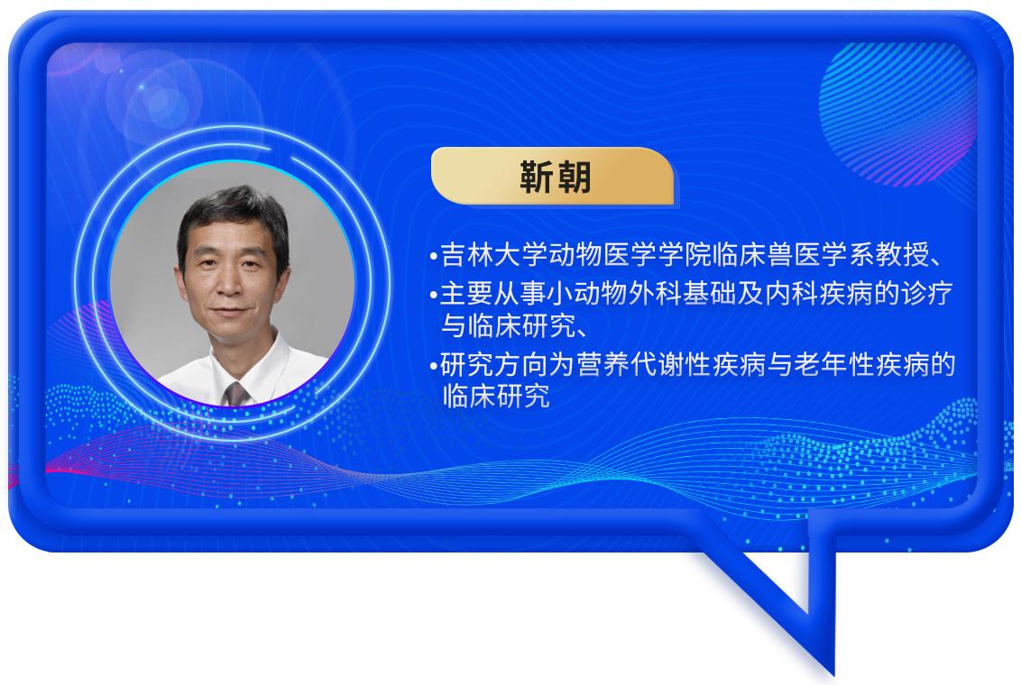 宠物营养研究现状及发展前景,宠物营养研究与发展