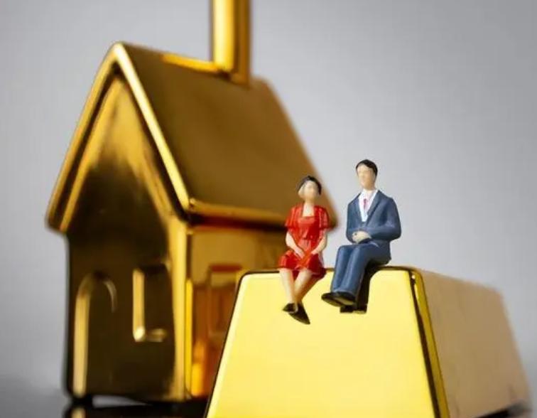 法律共有物包括什么,法律是如何保护共有人的合法权利