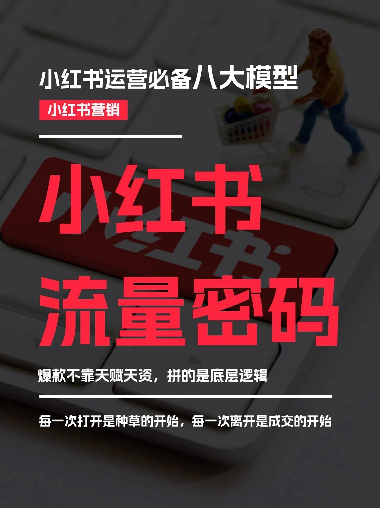 如何玩转小红书运营实操,如何做好小红书运营教程