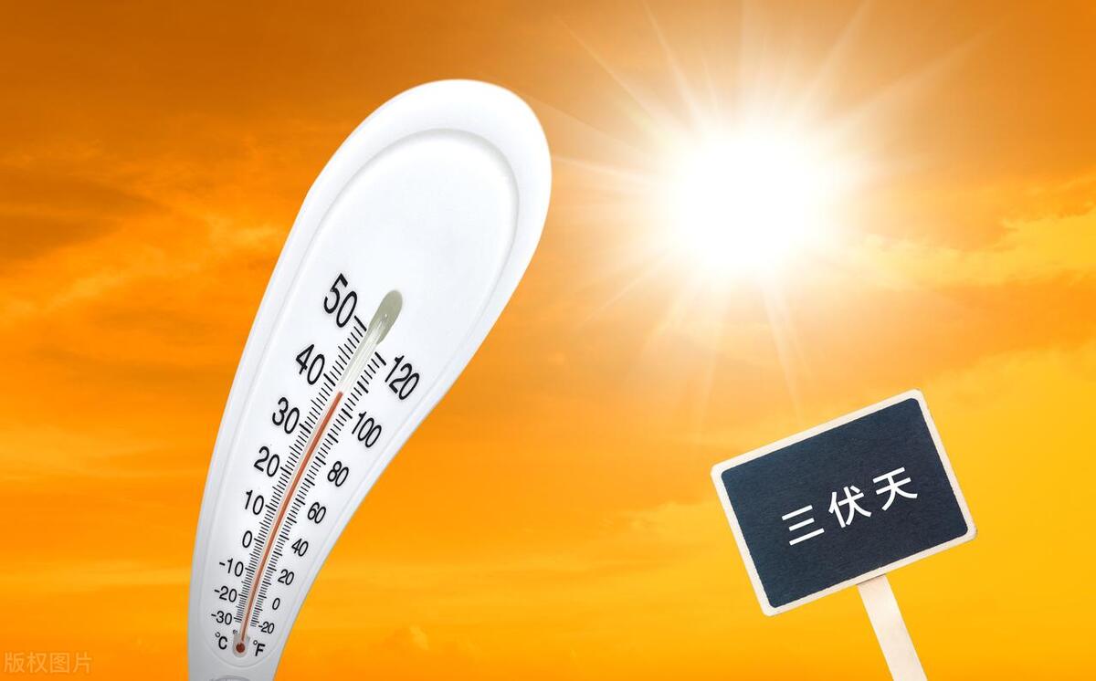 2023夏至三庚入伏的三庚是多少天,夏至后入伏从哪天算起2020年