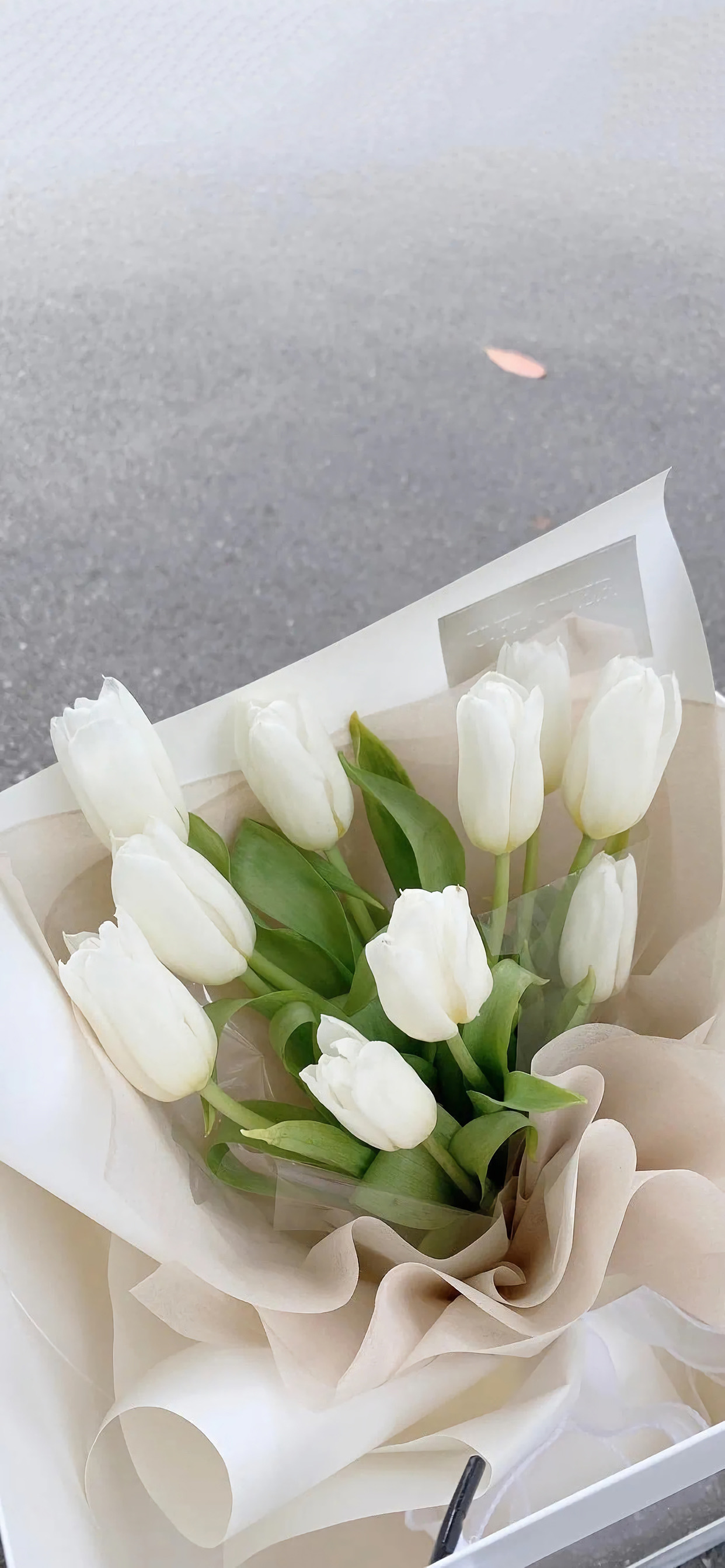 分享一些爆好看的手机壁纸,精挑细选90张最适合你的手机壁纸