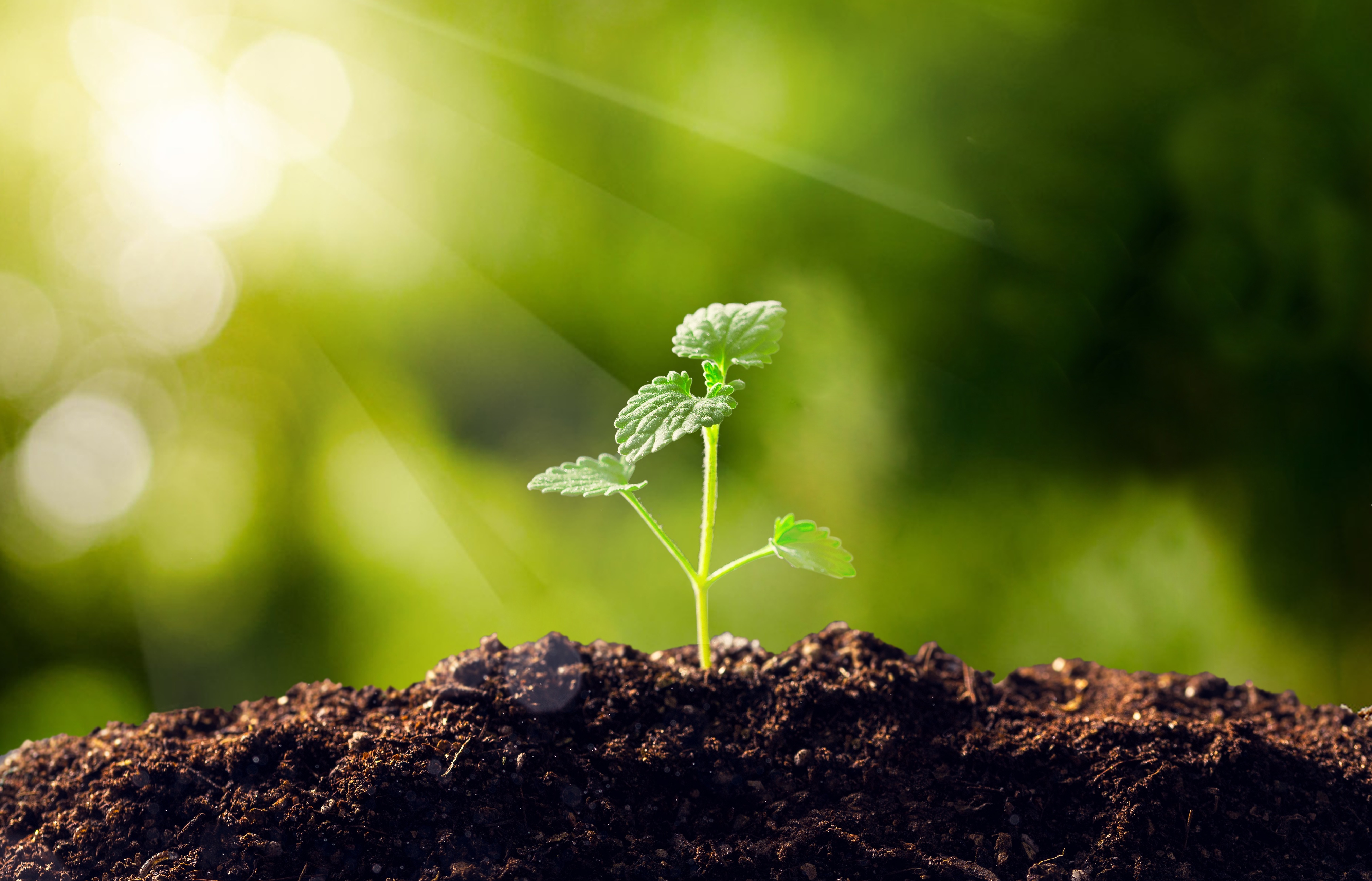 你知道你的细胞有多爱你吗,你知道细胞有哪些作用吗