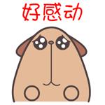 嗨~热依莎,全网超千万人都在听你的歌,你知道吗?