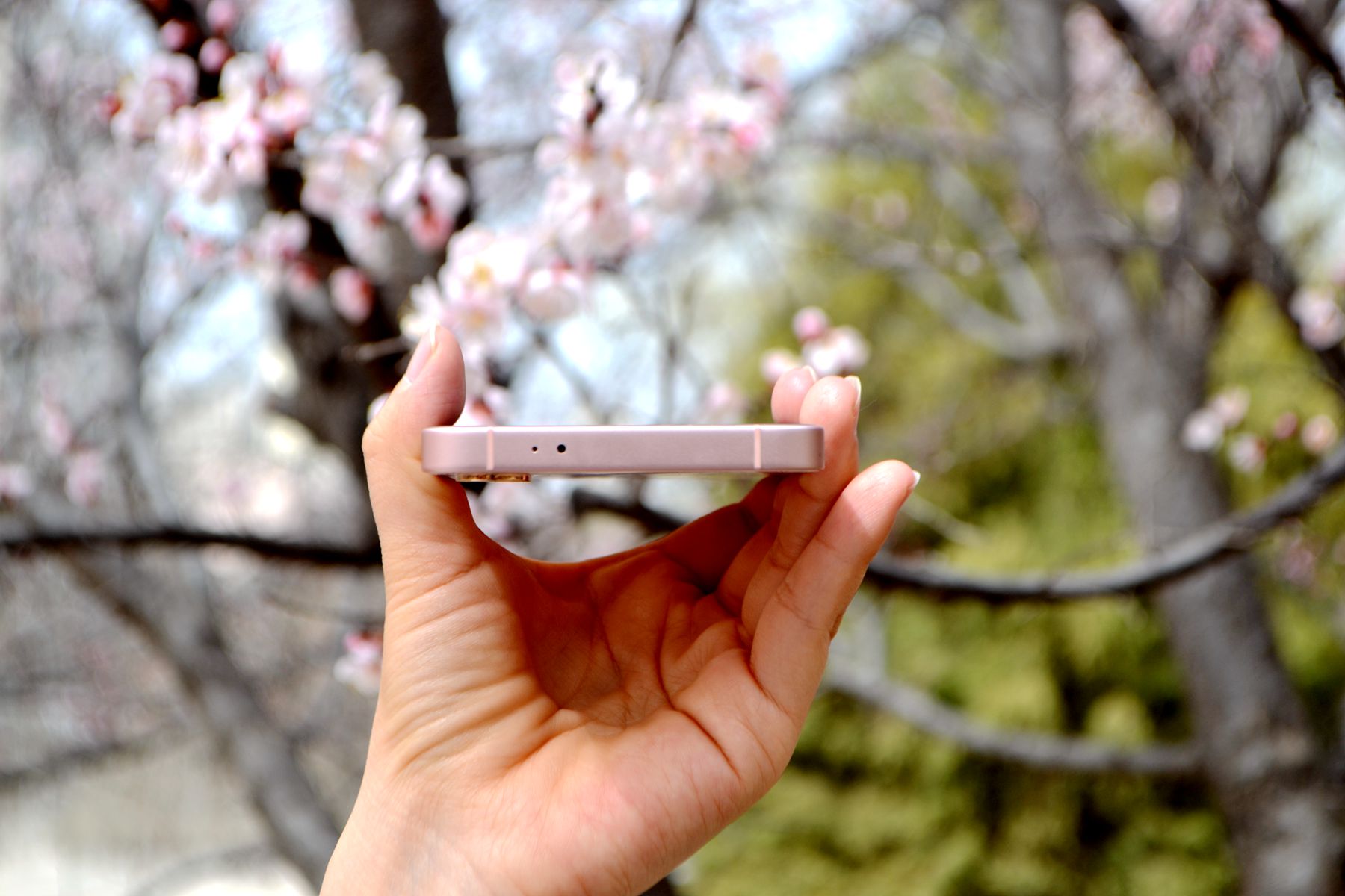 没有短板的手机,没什么短板的手机