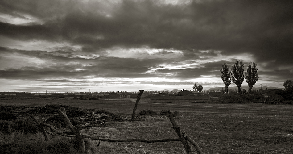 活见鬼电影,活见鬼阿七