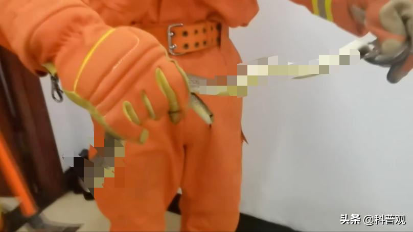 又是蛇！江西老人在被窝里摸到蛇，这种情况该如何处理？