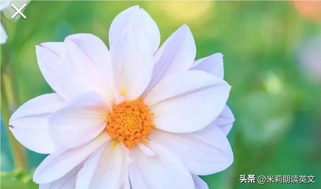 主谓宾句型的练习题,英语主谓宾句型大全