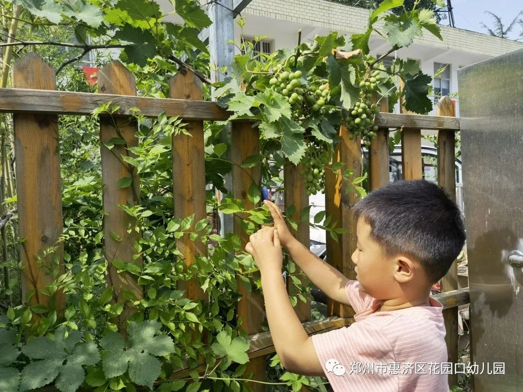 有趣的纸盒幼儿园,有趣的宣纸绘画幼儿园