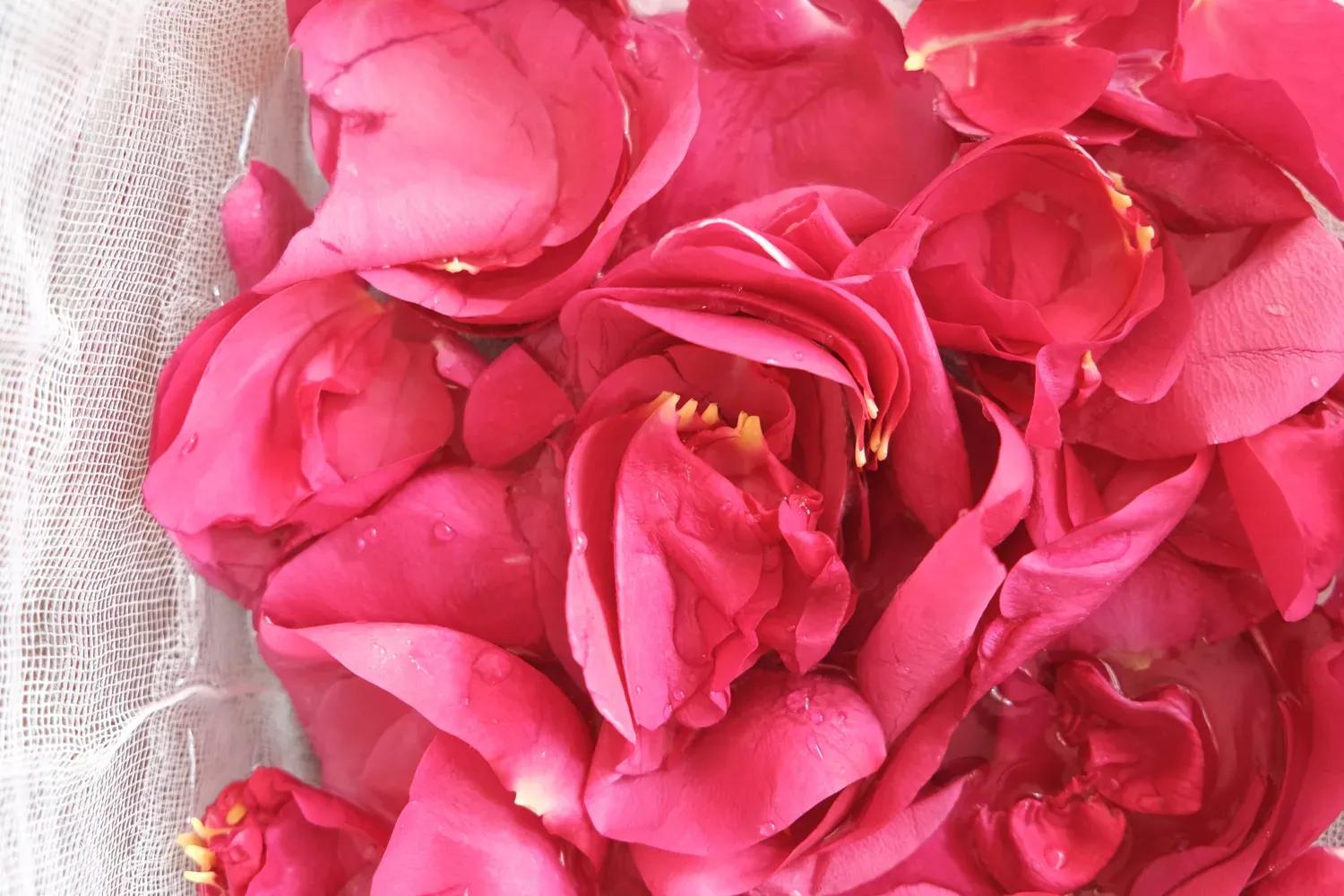 如何用鲜花DIY香水