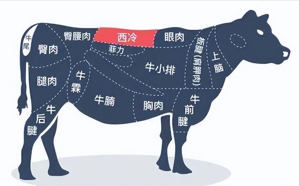 床垫推荐2021床垫怎么选,网易严选床垫和芝华仕床垫怎么选