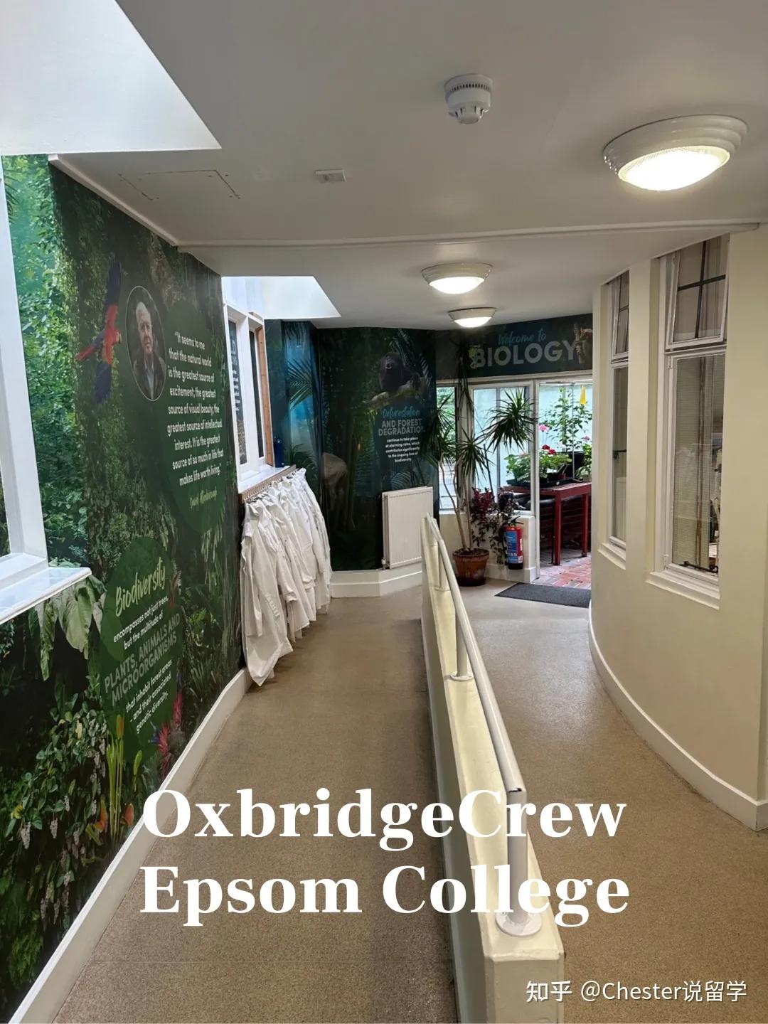 爱普森学院学费,英国爱普森学院怎么样