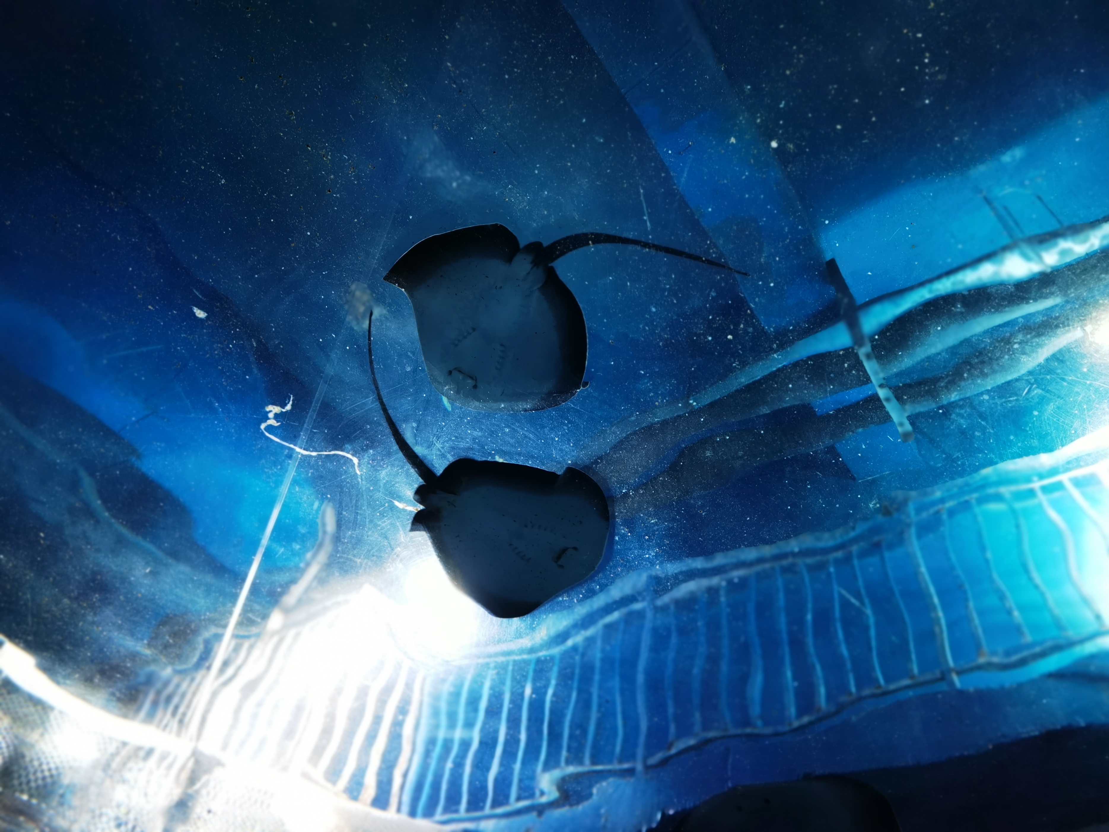 寿光极地海洋游记,五一寿光海洋极地世界