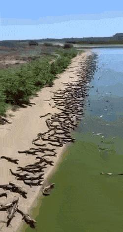 38张照片看世界：黎巴嫩被毁坏的港口，山洞球场