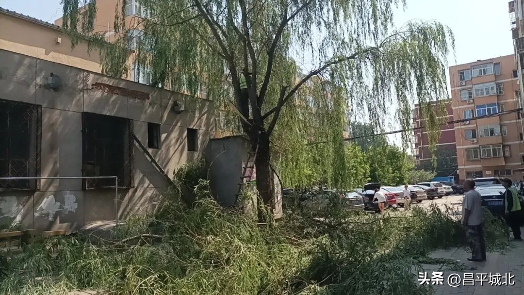 着力提升三种能力,三个能力提升行动问题整改台账