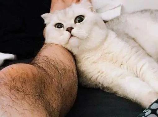 秋裤为什么扯腿毛,为什么秋裤会揪腿毛