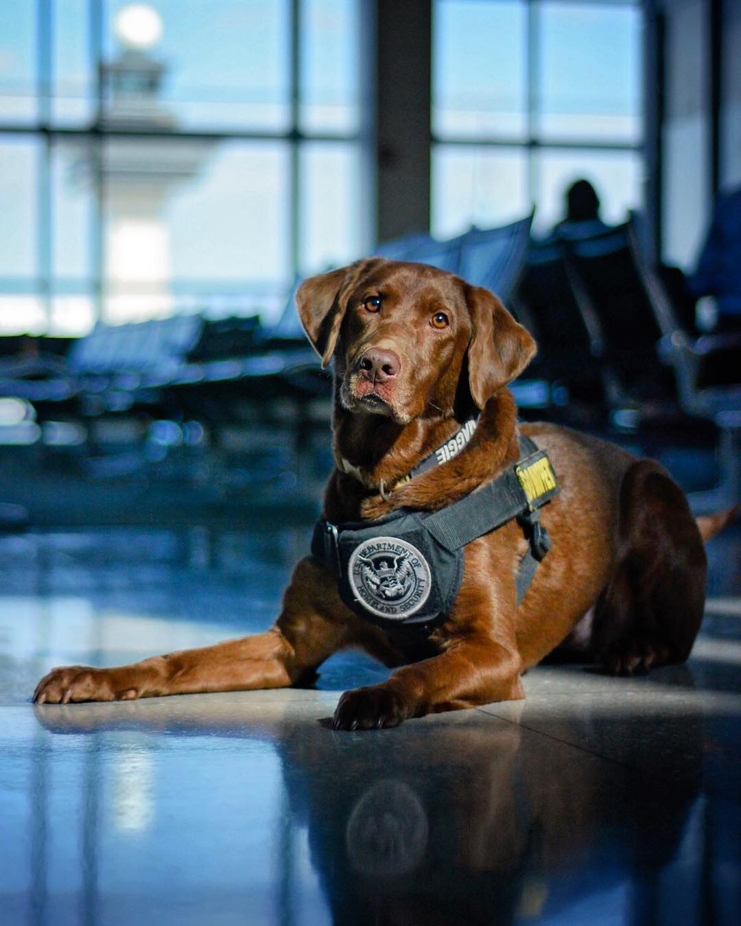 过海关容易被查吗,过海关被例行检查