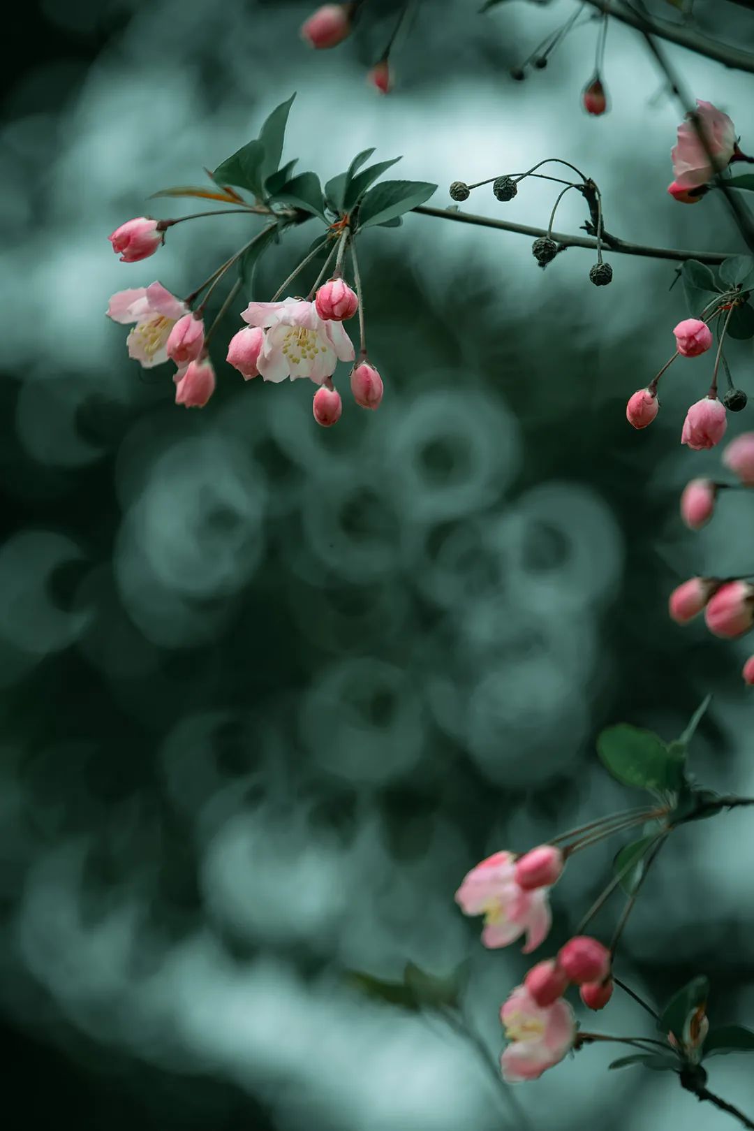 相机滤镜uv效果,相机使用uv滤镜