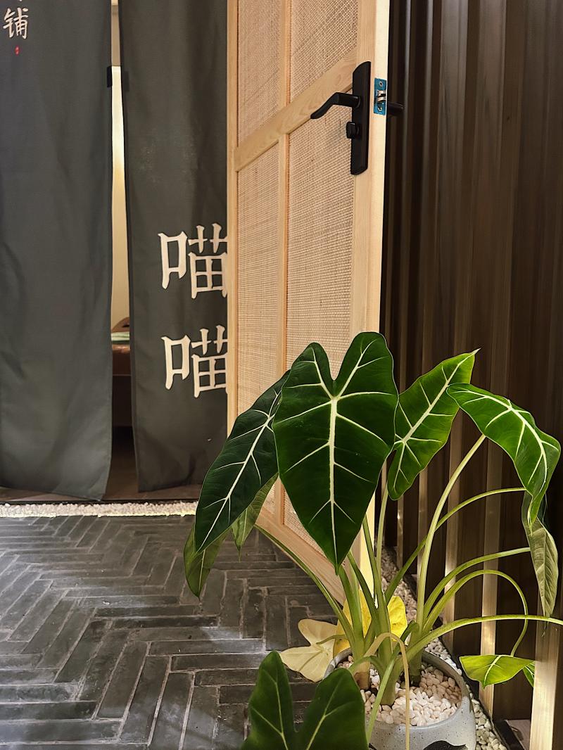 下班后经营采耳店的大厂员工：搞副业治愈了精神内耗