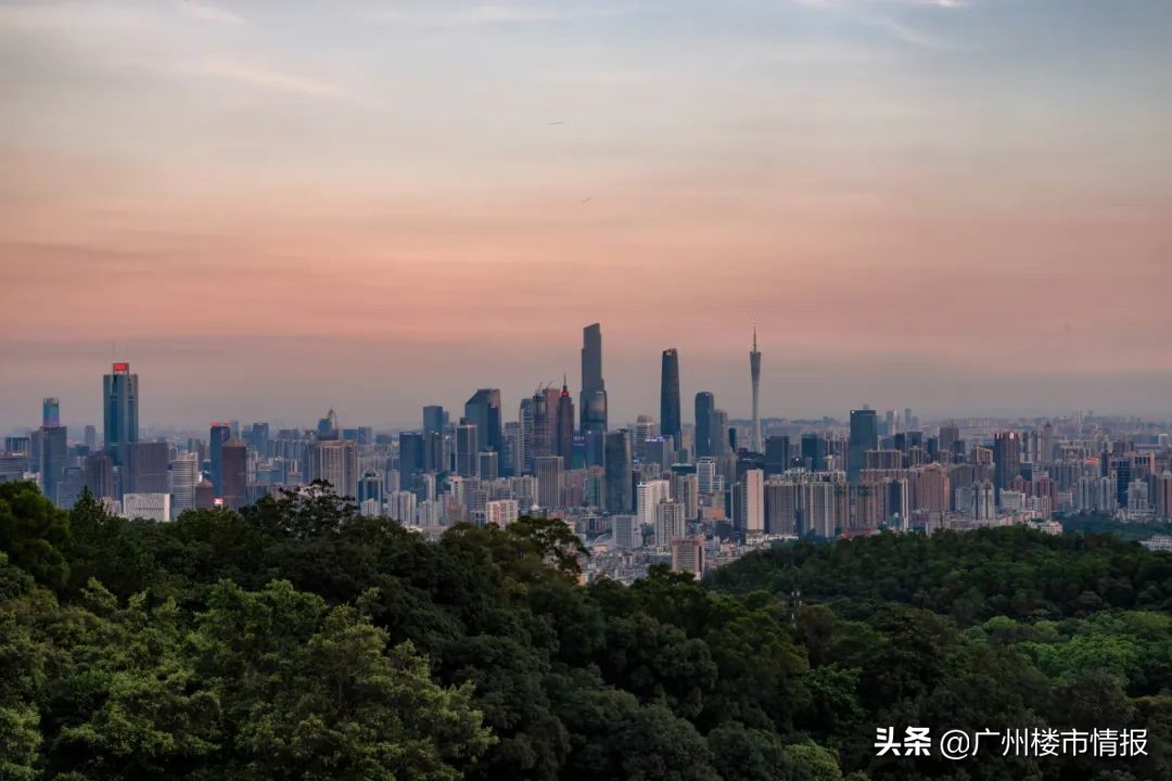 解密广东不足一米宽的楼,解码碧桂园营销奇迹四位一体