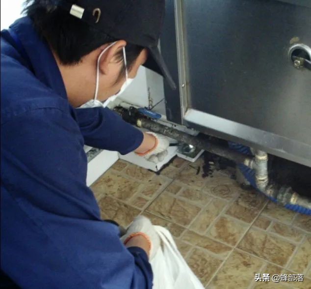 蟑螂为啥越杀越多,正确打死一只蟑螂的方法