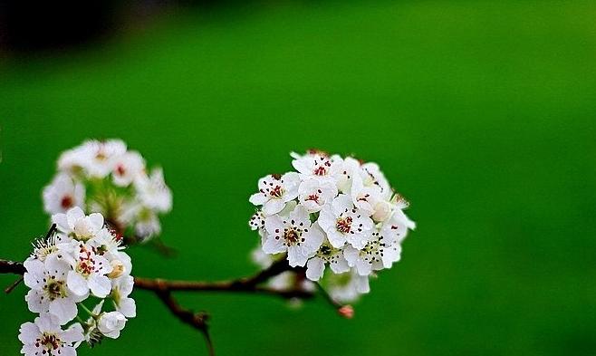 写踏青寻春的诗句,惜春寻春之意的诗词