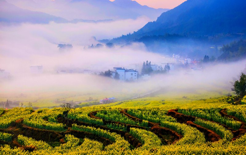 春色满园风景摄影,婺源摄影写真