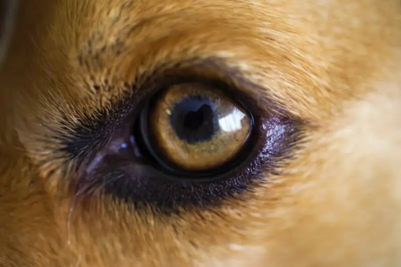 宾得新款16-50评测,宾得镜头18-135样片测评