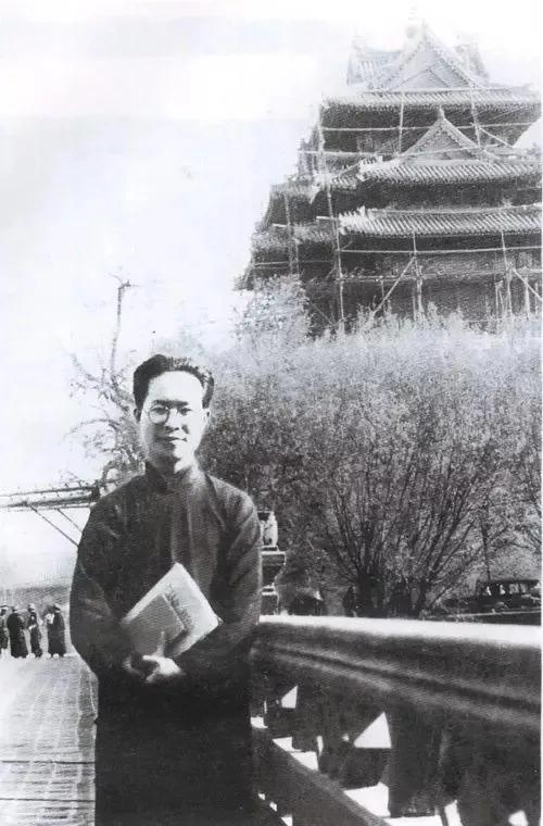 沈从文传奇人生书法,沈从文历史巨著