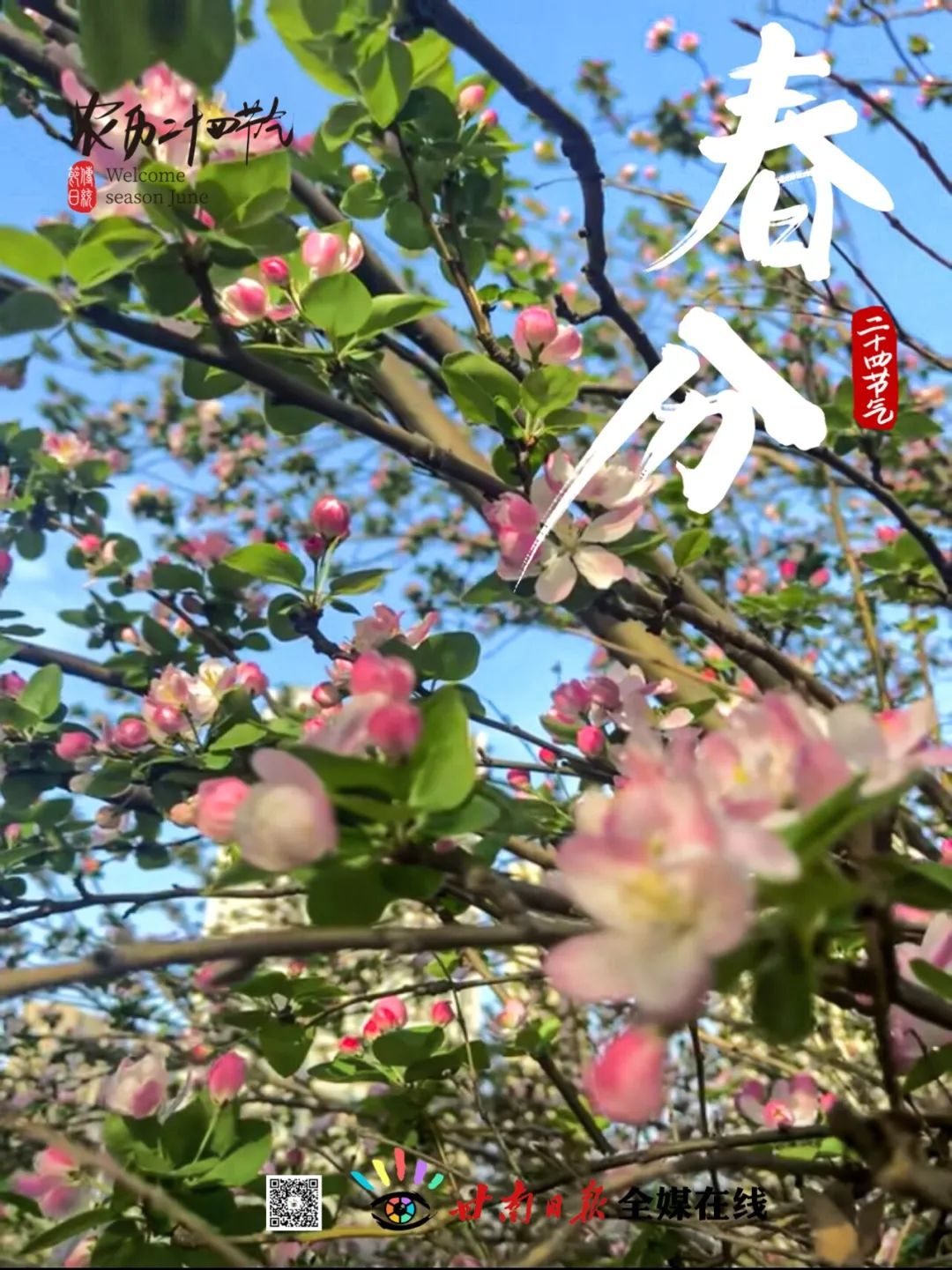 今日春分完整版视频,今日春分全文及解析