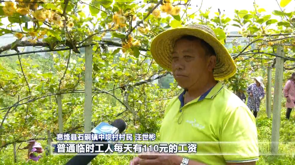 贵州一村一品示范村,贵州一村一品示范村镇