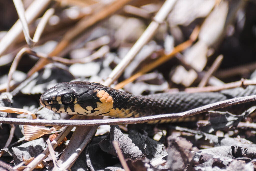 80后的我们捡过麦穗,七零后的我们一路向前冲