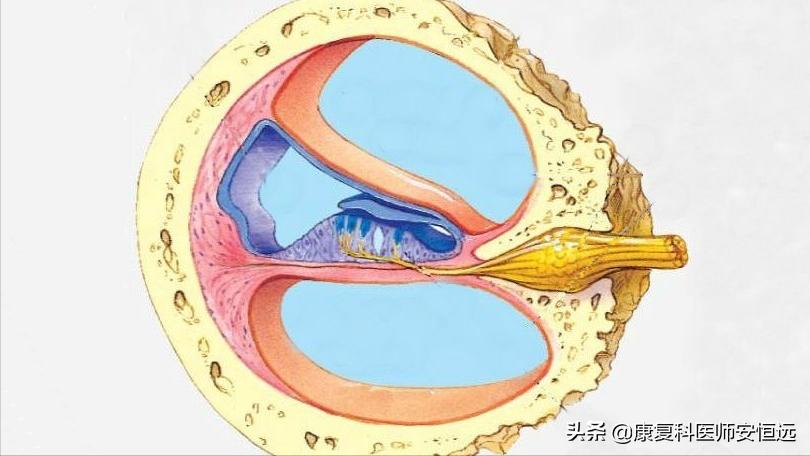 国产他达拉非,价格亲民,与进口他达拉非有何区别?听医生分析