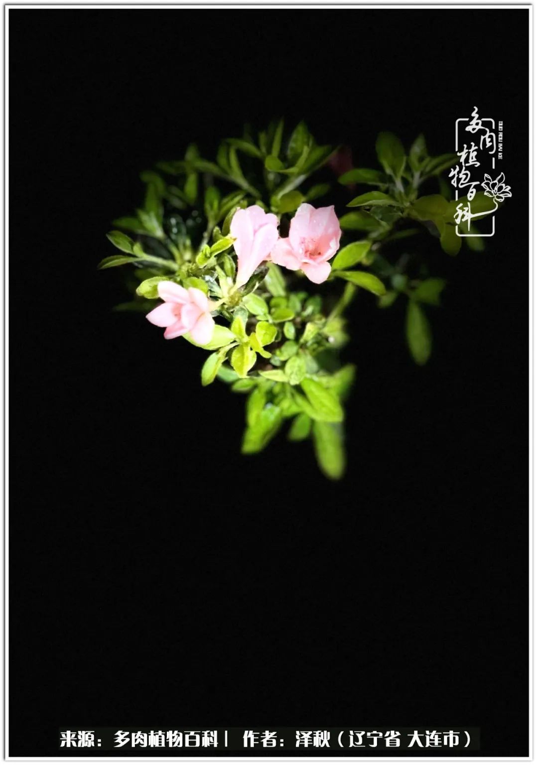 四季轮回之秋天,四季轮回之冬季