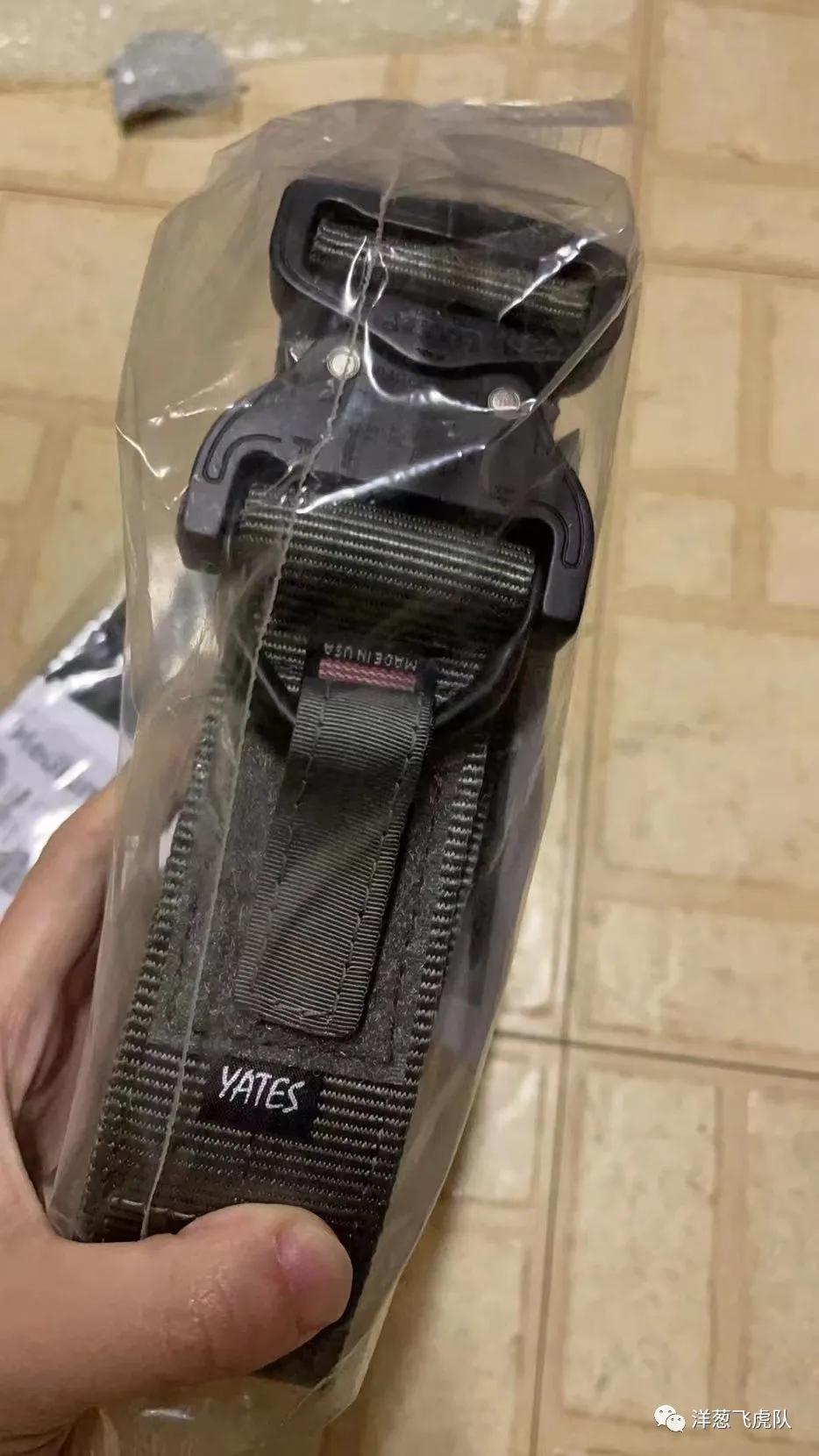 虎年说虎科普视频,虎年说虎运用了哪些说明方法