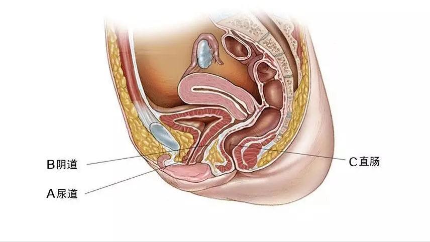 降糖效果好的药达格列净,降糖新药达格列净的效果