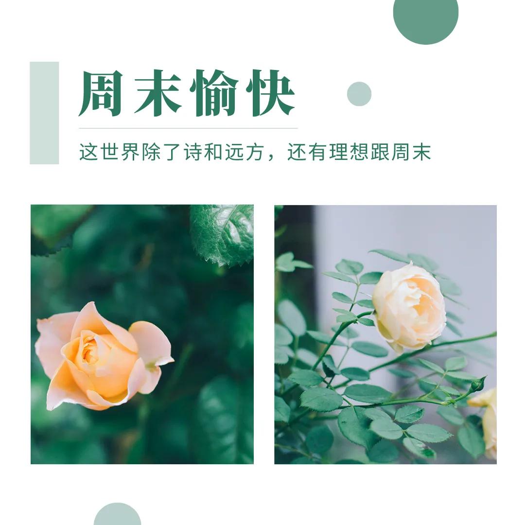 愉快的周末结束了最新的发圈文案,周末玩耍朋友圈文案短句干净治愈