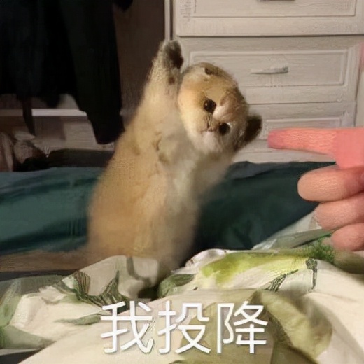 办公室污染的真实案例,吐血整理mbti