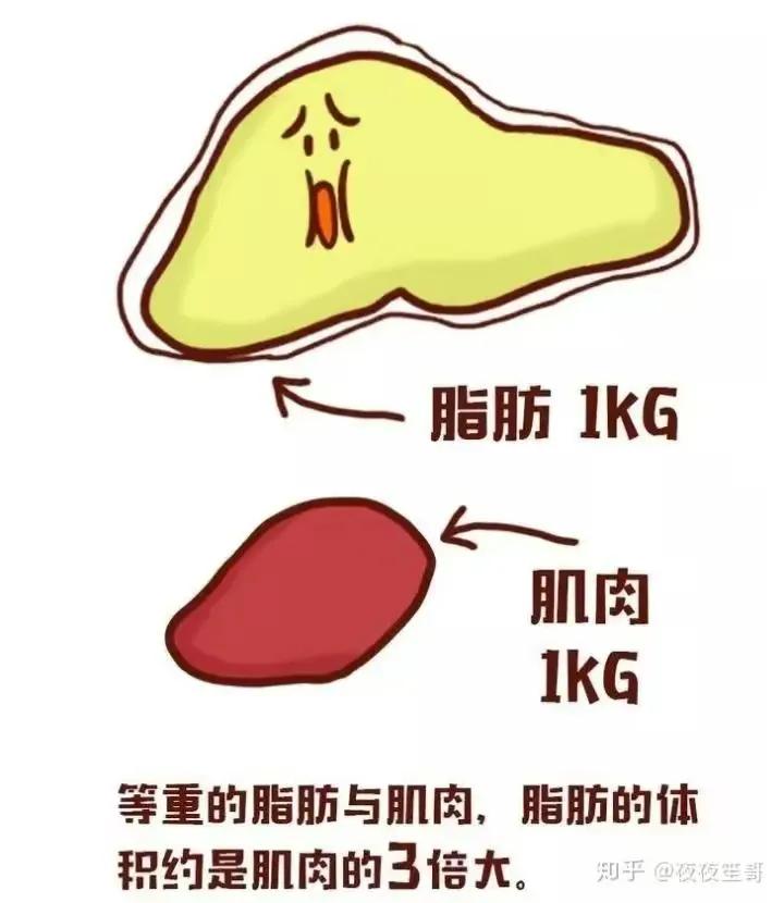减脂教练眼中的水果红黑榜,减脂水果类推荐