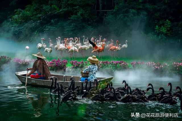 荔波绿宝石一日游,荔波全年游客接待量