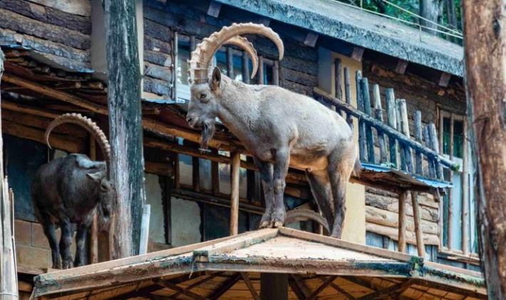 昆明旅行最值得打卡的十大景点,昆明周边湿地公园网红打卡地