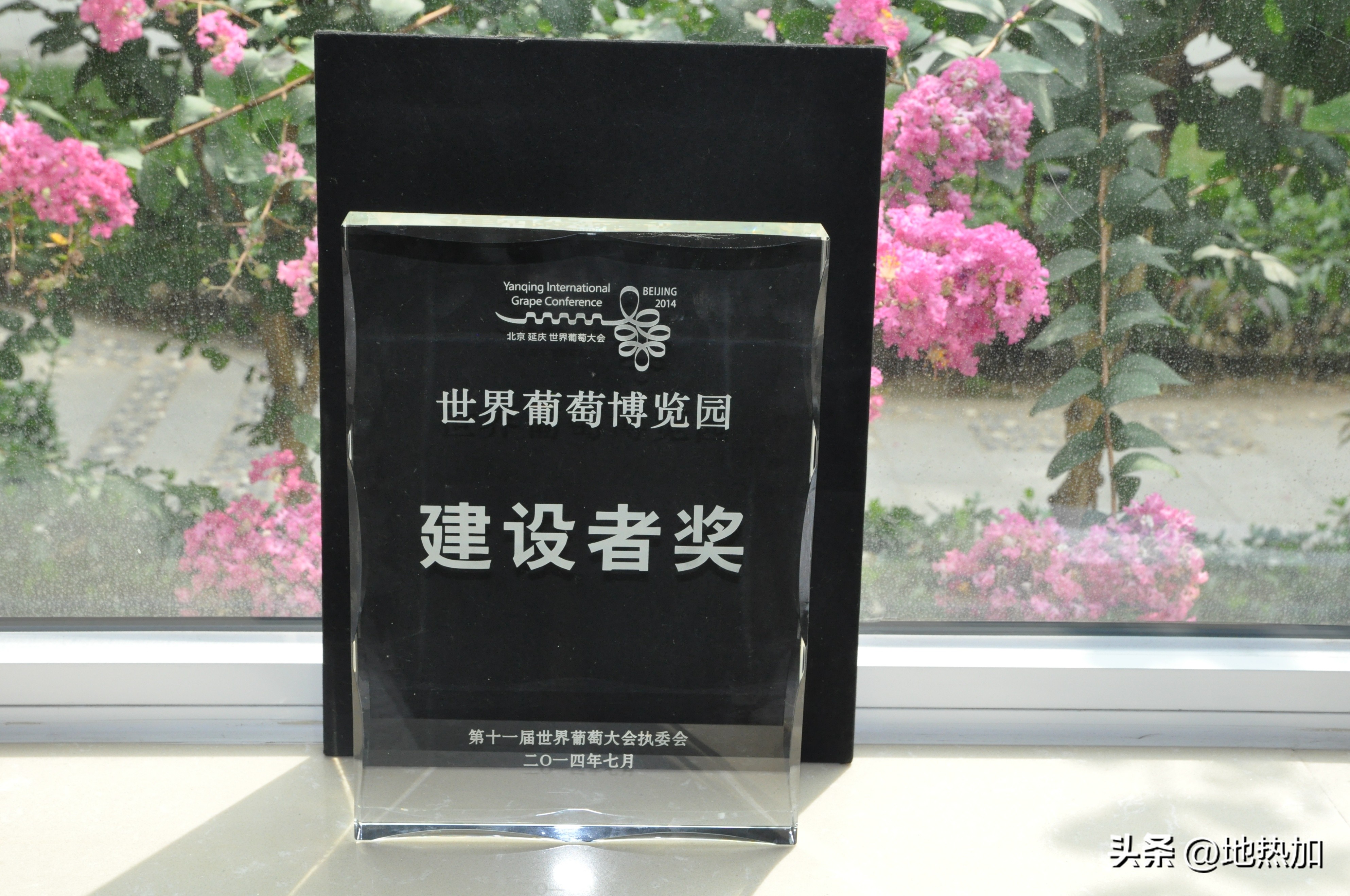 华清荣益王小健：期待豹变