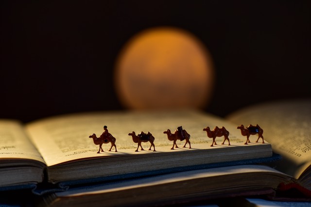 基辛格预言2049年视频,基辛格对俄罗斯人的评价