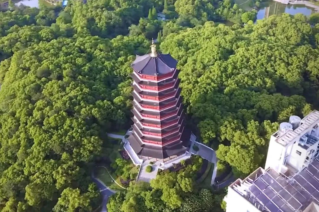 莫负*光春**｜这5家希酒店旁的公园真的太美了