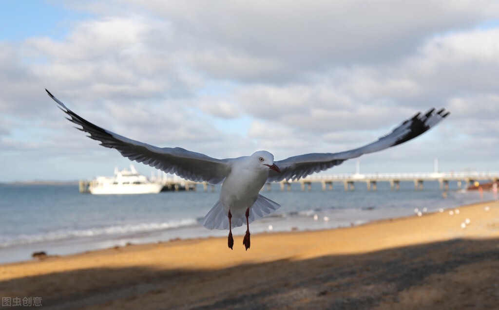 孤独乏味的时候怎么办,孤独枯燥乏味