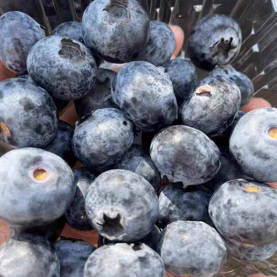 中老年别吃错六种碱性水果,老人适合吃什么碱性水果