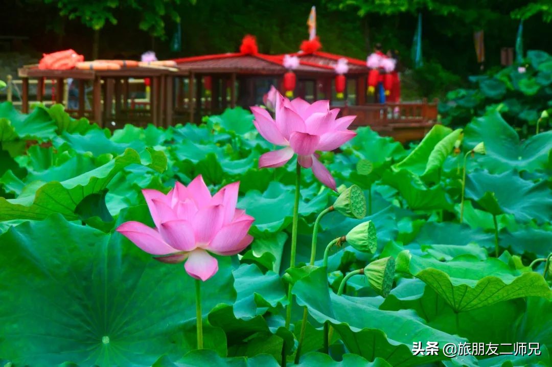 清远峰林晓镇游玩攻略,清远旅游攻略峰林