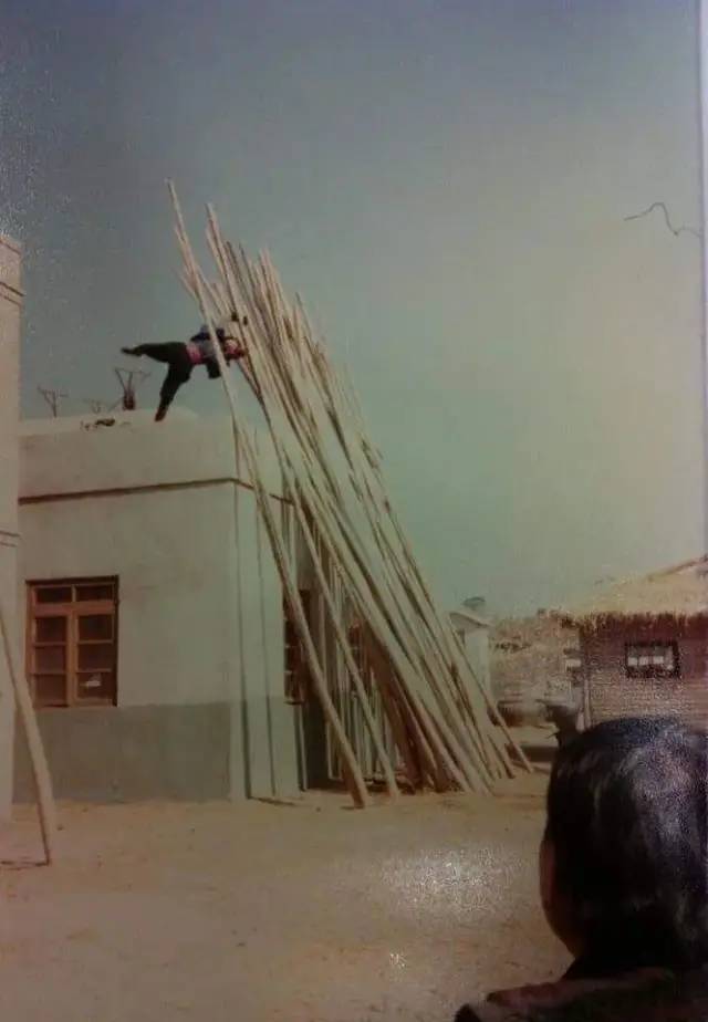 香港曾经的十大武打女明星,香港影坛十大女星