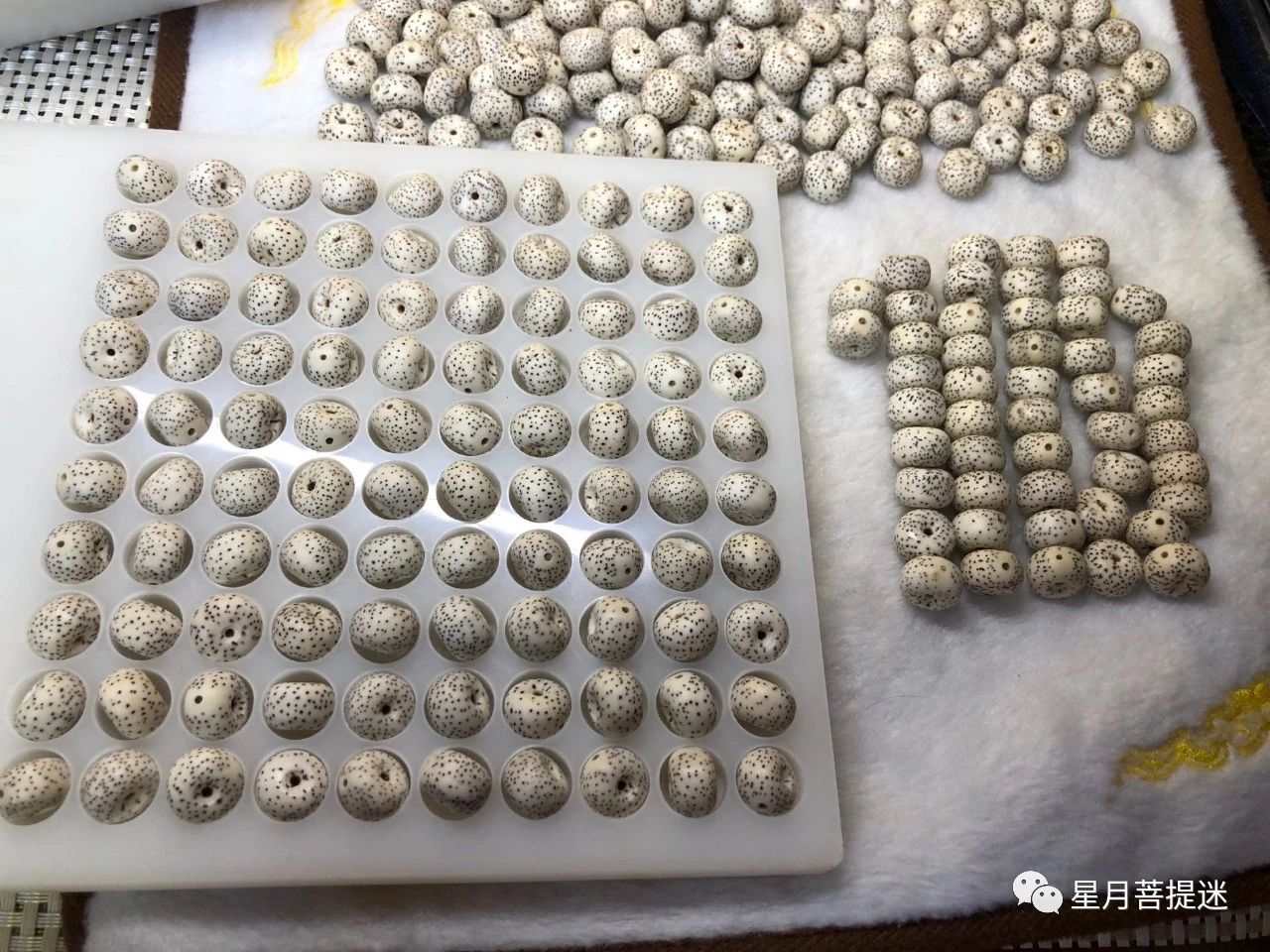 真正的星月菩提,顶级的星月菩提是玉化的吗