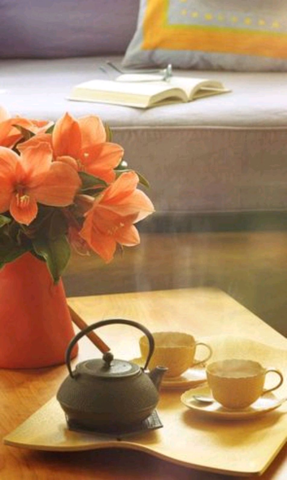 散文一年中的十二月,散文轻拥岁月笑对流年