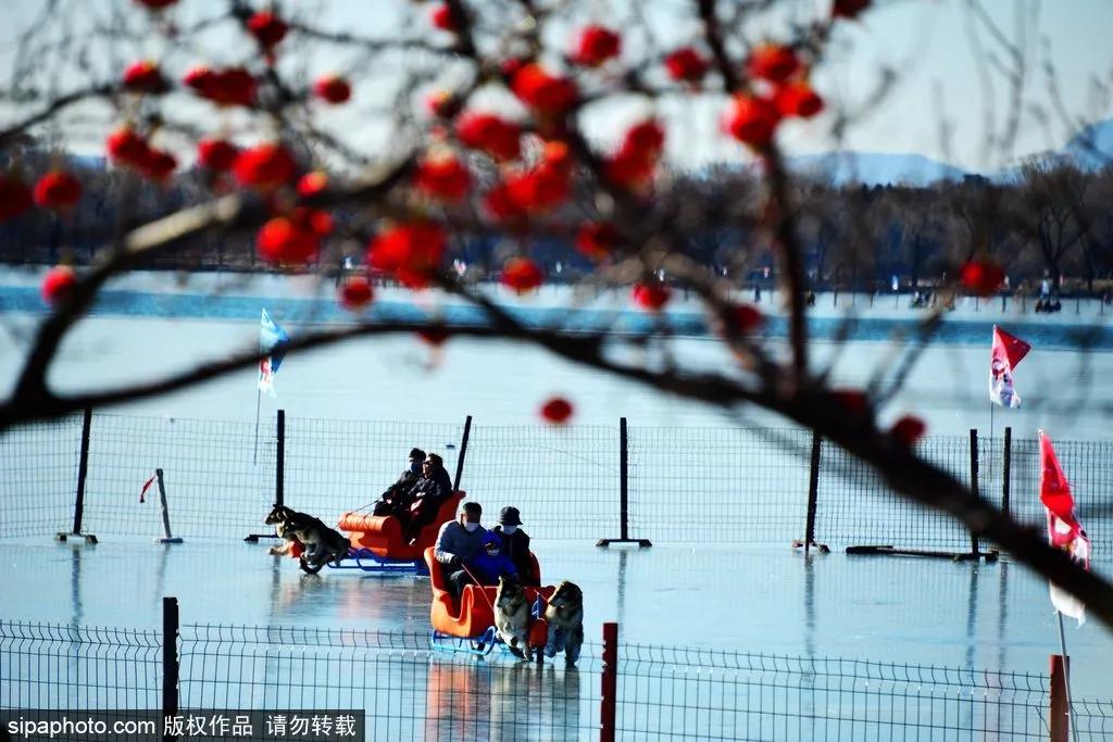 北京冰场游玩攻略,北京天然的冰场有哪些地方